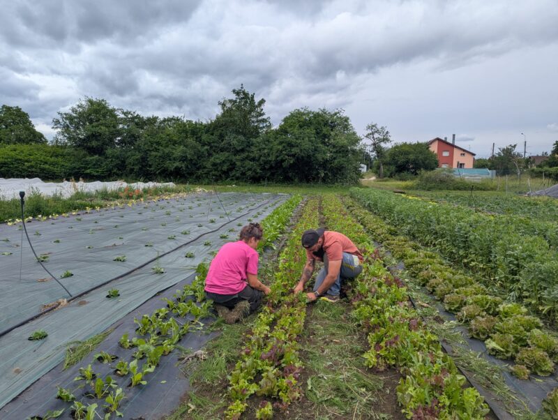 27-06-2026 | La ferme du Ruisseau à Audincourt